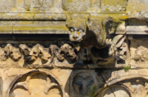 Cathédrale de Lisieux - Gargouille